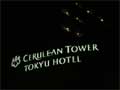 CERULEAN TOWER ZA^[@^@CERULEAN TOWER TOKYU HOTEL ZA^[}ze